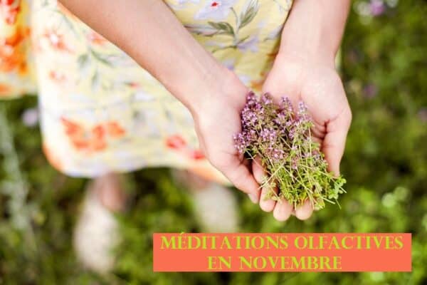 Méditations olfactives Planning de novembre