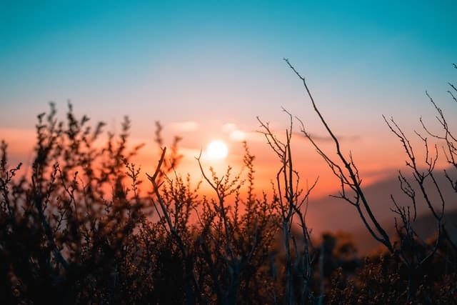 Médiation du solstice d'été en pleine nature