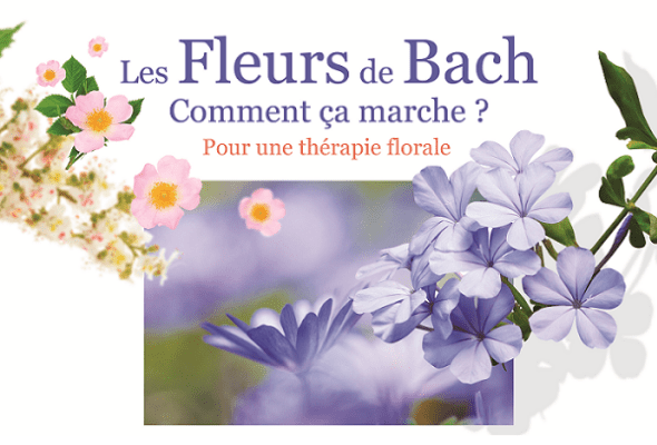 Atelier Fleurs de Bach affiche