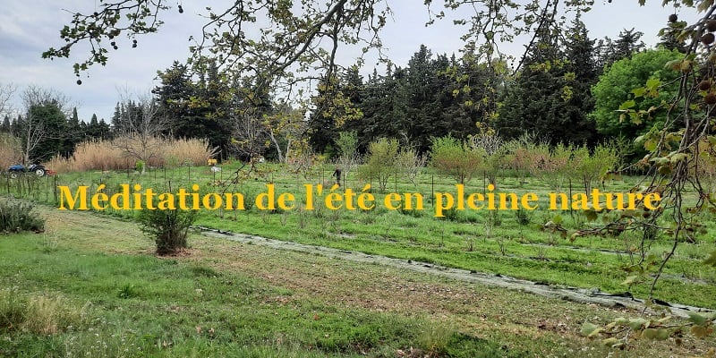 Méditation pleine nature à la ferme de Cabrières Juillet 2023