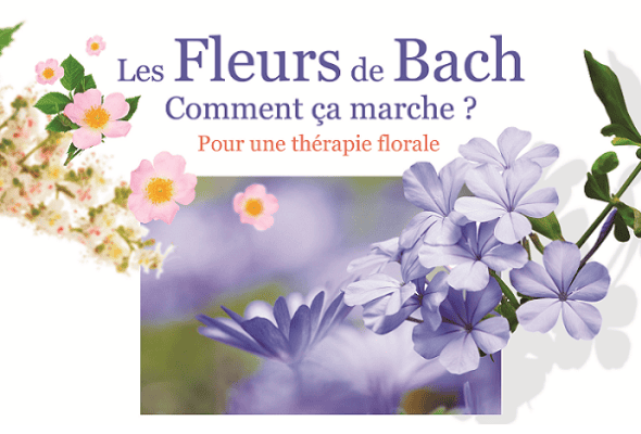 Fleurs de Bach et thérapie florale