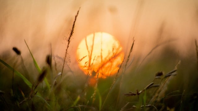 Méditation du solstice d'été juin 2024