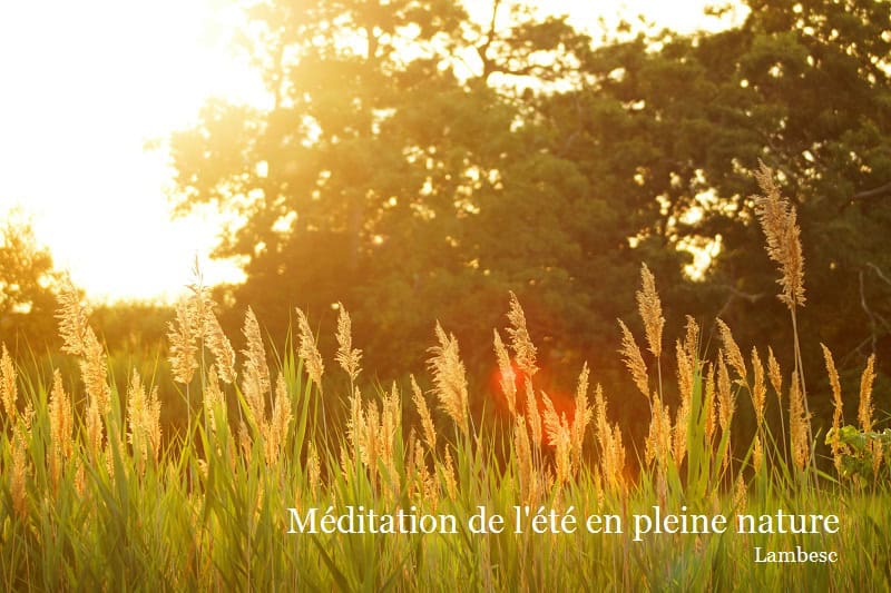 Méditation en pleine nature à Lambesc, Provence